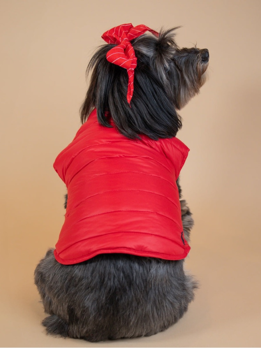 Polo Ralph Lauren Navy and Red Reversible Quilted Pet Jacket